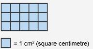Calculate the perimeter of the rectangle. 4.