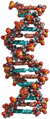 DNA - Chromosomes - Genes We cannot define it but we know it when we