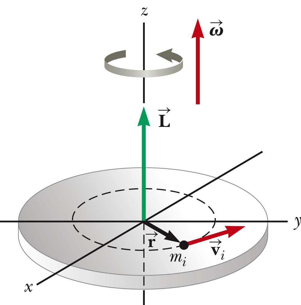 Angular Momentum of a Rotating Rigid Object The rigid object is a non-deformable system.