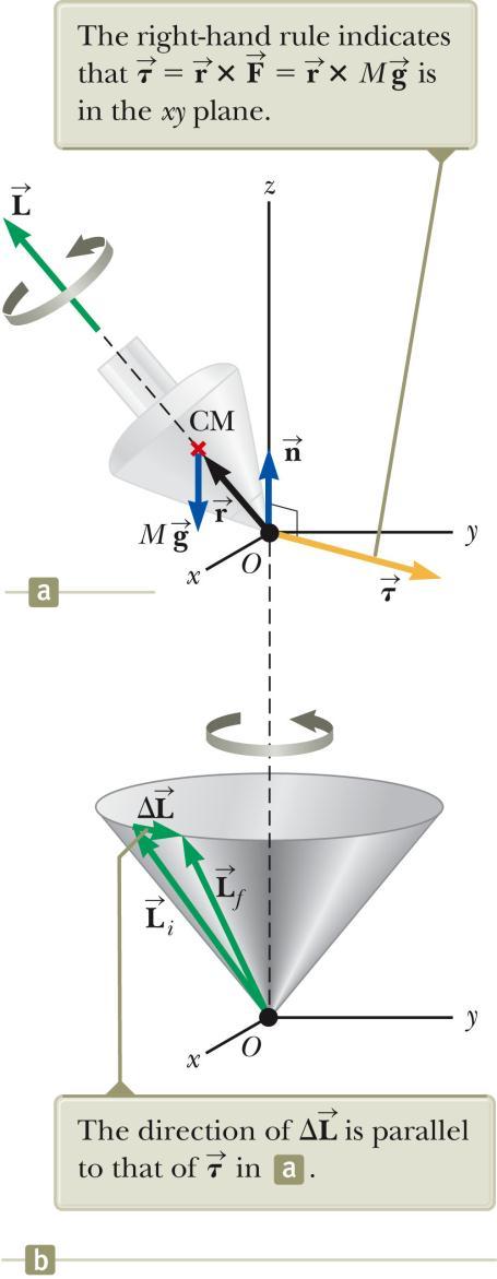 Motion of a Top The only external forces acting on the top are the normal force and the gravitational force.