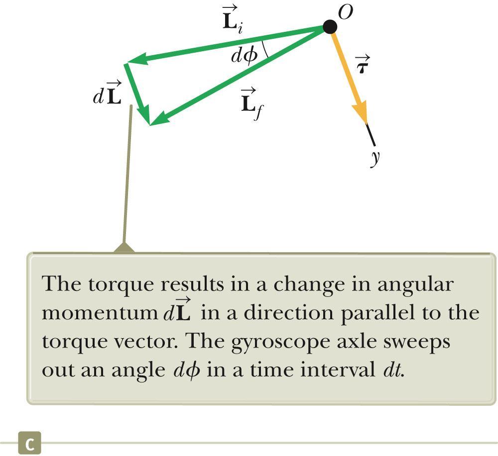 Gyroscope, cont The torque results in a change in angular momentum in a direction perpendicular to the axle.