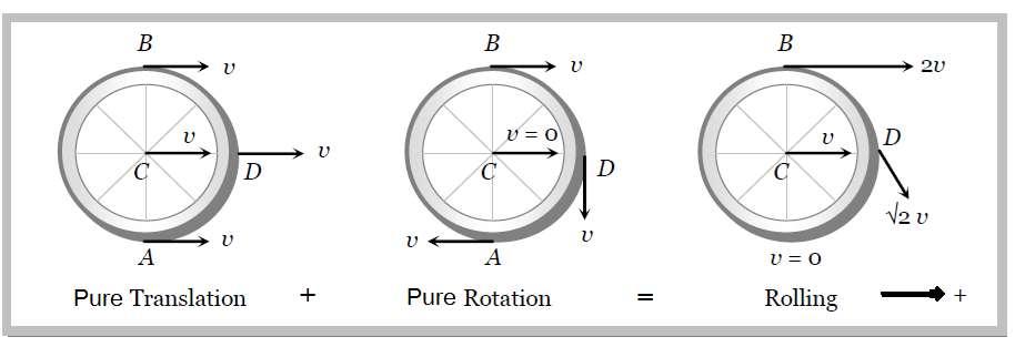 Prof. Dr. I. Nasser Chapter11-I November, 017 Linear velocity of different points in rolling: In case of rolling, all points of a rigid body have same angular speed but different linear speed.