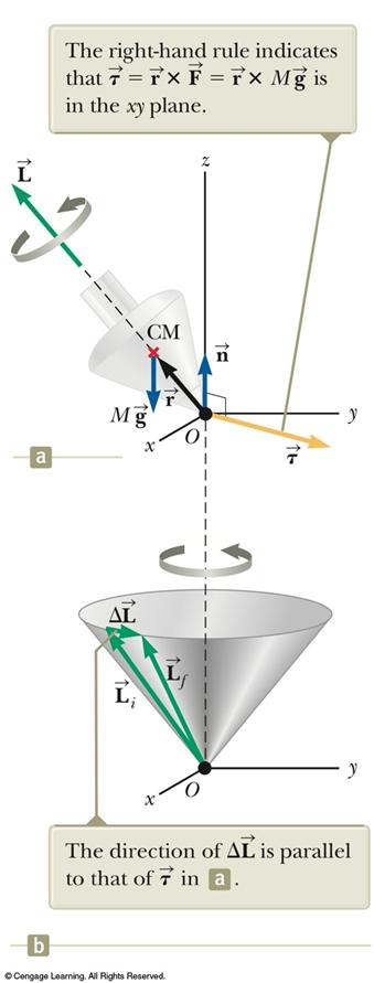 Motion of a Top The only external forces acting on the top are the normal force and the gravitational force.