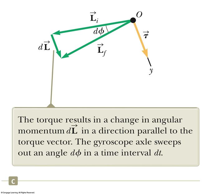 Gyroscope, cont The torque results in a change in angular momentum in a direction perpendicular to the axle.