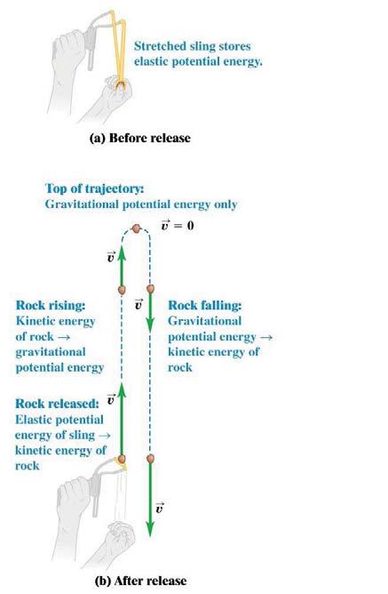 Looking back at Old Exam2 15 Study of Energy Transformation This transformation begins as elastic potential energy in the elastomer. It then becomes kinetic energy as the projectile flies upward.