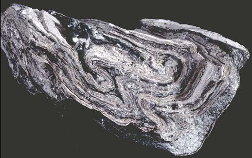 Dacite lava is most often light gray, but can be dark gray to black.