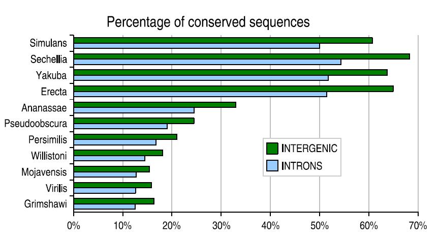 Distant drosophila species have ~13%