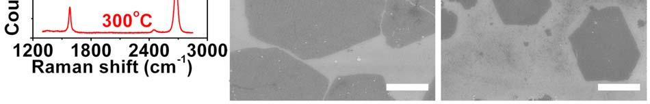 For a growth temperature of 500 C, SEM image as shown in Figure 4b clearly reveals the formation of large graphene flakes.