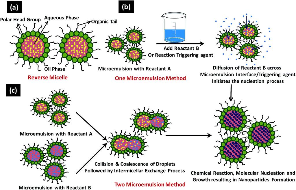 Iron Oxide Nanoparticles: Microemulsion Synthesis Control nanoparticle size by modulating the size of the aqueous micellar