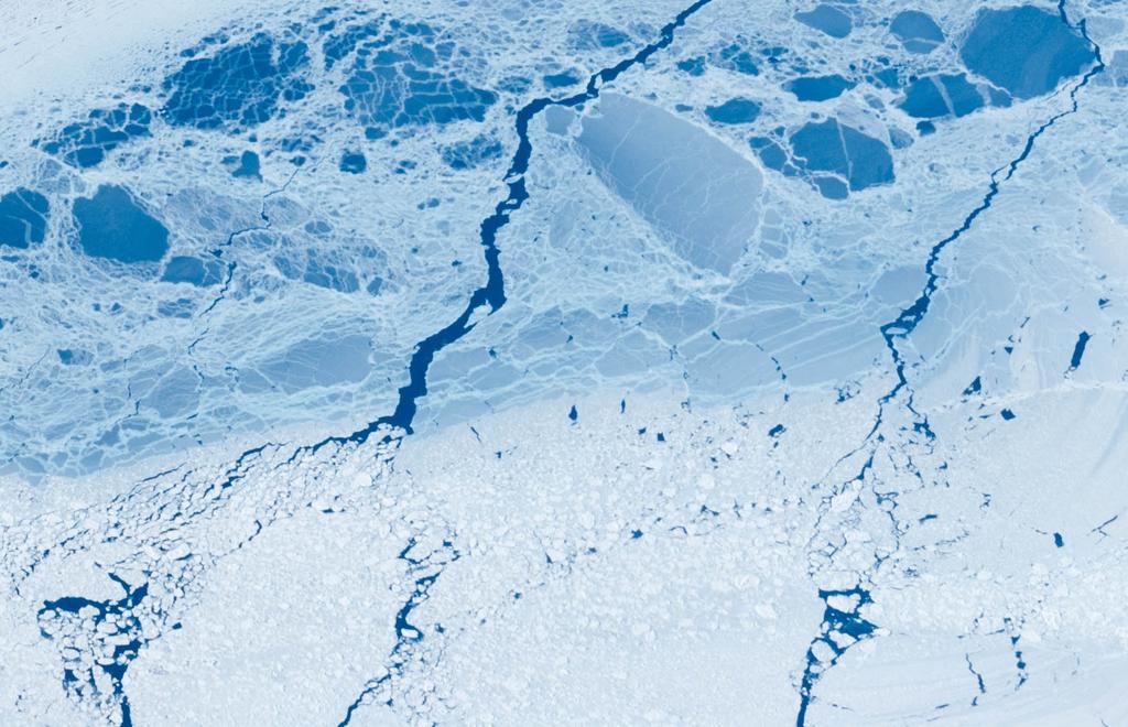 The white surface of sea ice is highly reflective (called albedo) to the sun s heat energy, an important part of global cooling. The ice packs up against both the land and ice shelves.