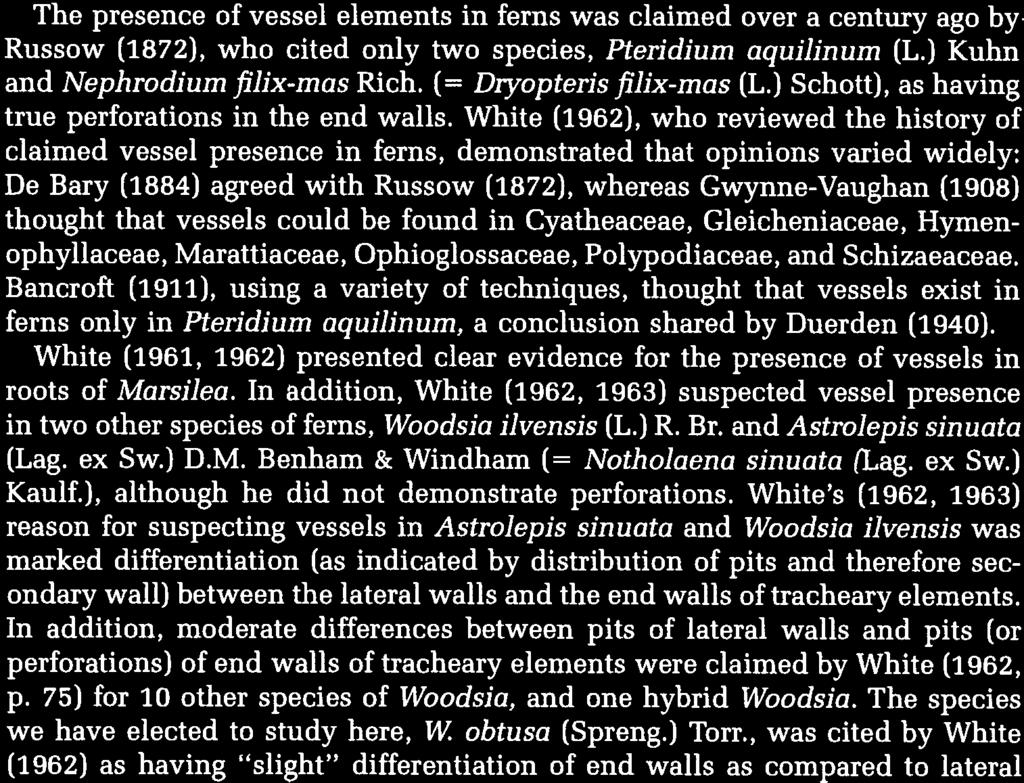American Fern Journal 87(1):1 8 (1997) SEM Studies on Vessels in Ferns. 1. Woodsia obtusa SHERWIN CARLQuIsT and EDWARD L.