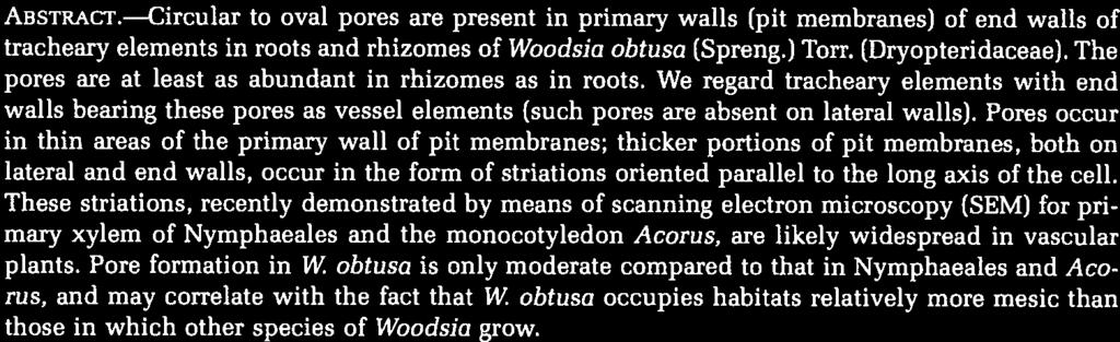 Circular to oval pores are present in primary walls (pit membranes) of end walls of tracheary elements in roots and rhizomes of Woodsici obtusa (Spreng.) Torr, (Dryopteridaceae).