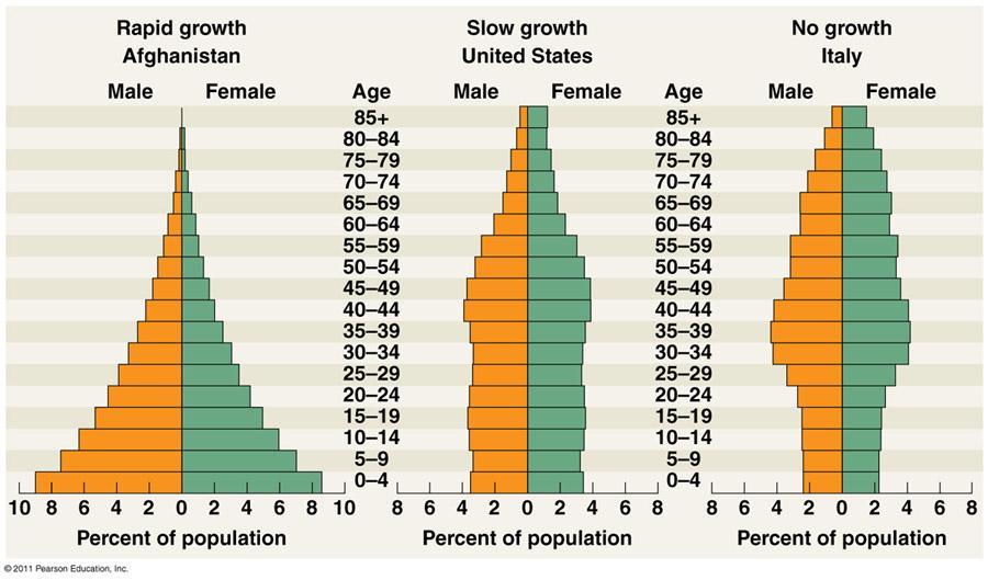 Age Structure Diagrams Diagrams that show the relative numbers of individuals at each age and