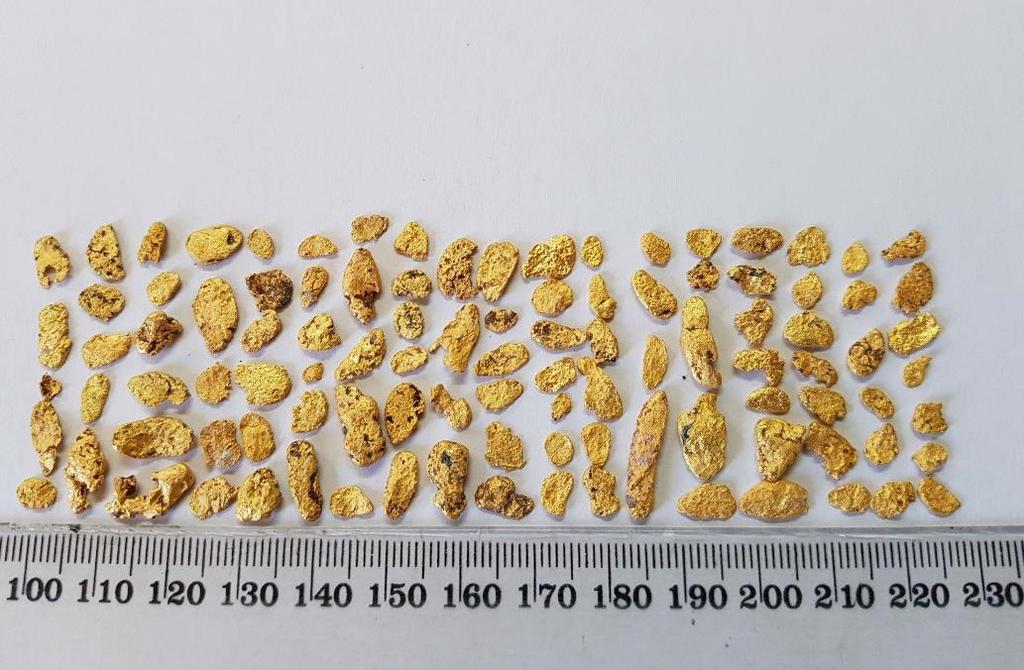 Figure 11: Nuggets collected from area C2 the Just-in-Time Prospect