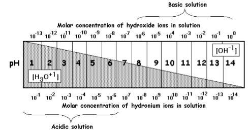 Lesson 3: ph Scale and Indicators Objective: Differentiate between an Acid and Base on the ph scale Determine the change in H+ or OH- concentration during a change in ph ph SCALE: Direct measurement