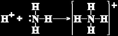 PROTON DONORS Bronsted-Lowry Acid donates H + to Bronsted-Lowry Base Circle the B-L Acid below: BRONSTED-LOWRY BASES are the PROTON ACCEPTORS Bronsted-Lowry Base accepts H + from Bronsted-Lowry Acid