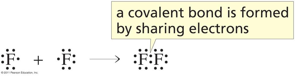 Covalent Bonds Are Formed by Sharing