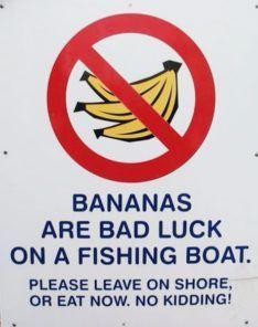 Superstitions: Never Bring Bananas on a boat Taking bananas on a boat is bad luck Hawaiian fisherman claim that bringing bananas on their boats will cause fish not to bite Mechanical breakdowns