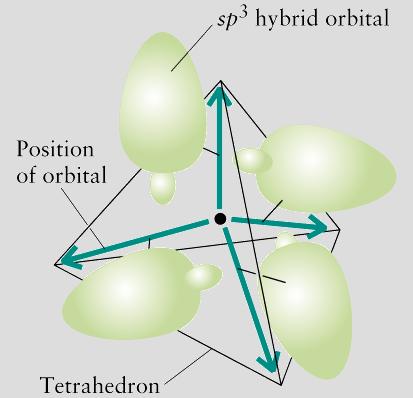 sp 3 ybrid rbitals each sp 3 hybrid orbital has two lobes of unequal size the sign of the wave function is positive in one lobe, negative in