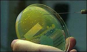 E. coli is back Why? Complacency: After five years of progress with the E.