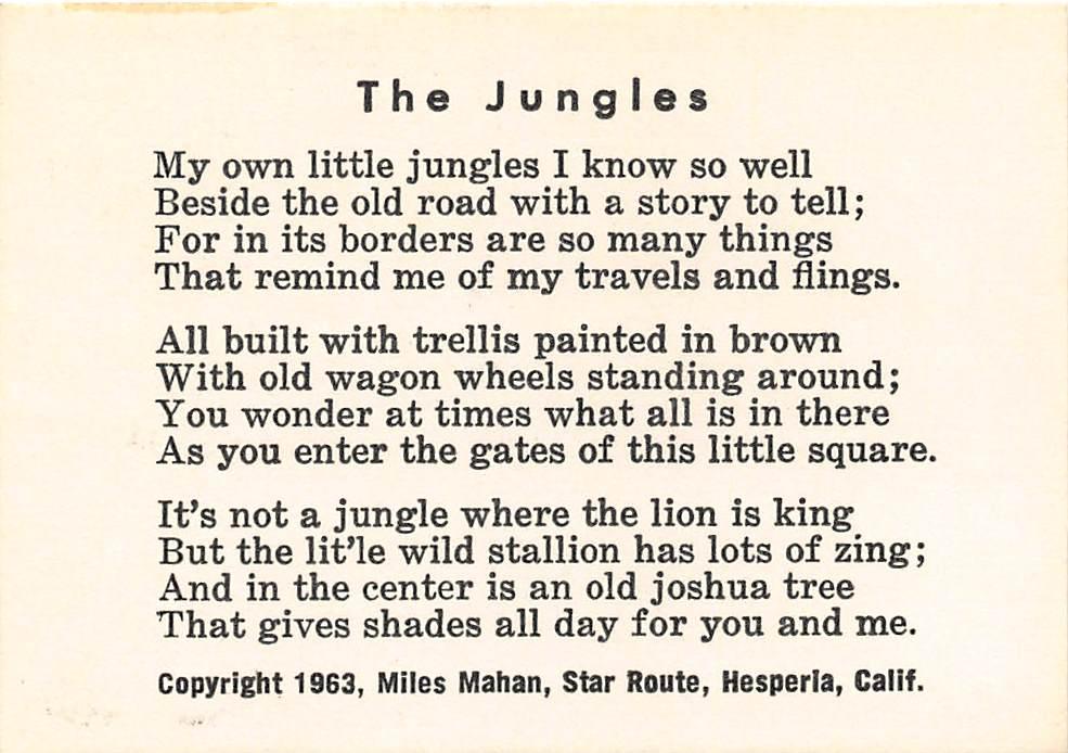 The Jungles My own little jungles I know so well Beside the old road with a story to tell; For in its borders are so many things That remind me of my travels and flings.