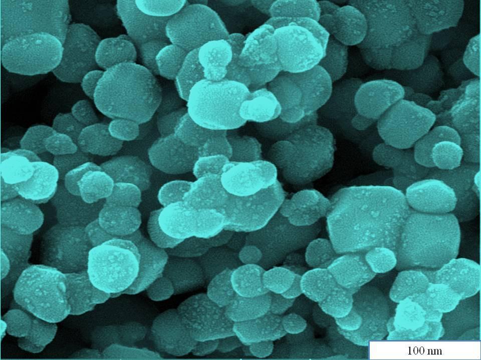 Fig.4 SEM image of silver nanoparticles prepared in 3:2 ratios (plant extract: AgNO 3 ) Fig.5 Antimicrobial activity of silver nanoparticles against biofilm producing S.