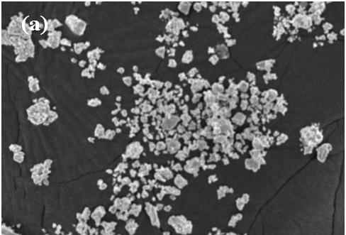 The SEM images reflect that the undoped particles consist of non-uniform distribution with some single particles or with some clustered particles.