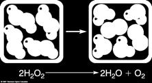 2Na(s) 2H 2 O(l) H 2 (g) 2NaOH(aq) Now, determine the oxidizing and reducing agents. Na is oxidized; therefore, Na is the reducing agent. H is reduced; therefore, H 2 O is the oxidizing agent.