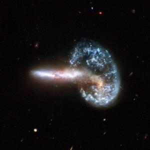 Most galaxies can be classified into only a few morphological (Hubble) types.