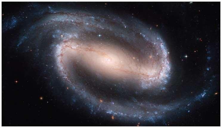 Spiral Galaxies In this barred spiral galaxy, seen face on, the young,