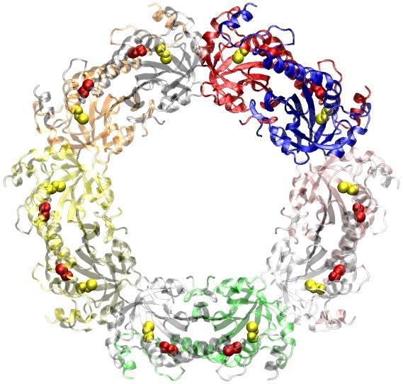 Protein Structure Marianne Øksnes Dalheim,