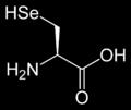 Small: 89 amino acids Motif: Cys-X-X-U, where U is