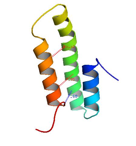 Results 2-3 helix bundles PDB:1mbh in PyMol PDB:1nre in PyMol