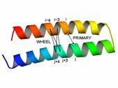 ASTRO-FOLD for α-helical Bundles Helix Prediction -Detailed atomistic modeling -Simulations of local interactions (Free Energy Calculations) Interhelical Contacts -Maximize common residue pairs