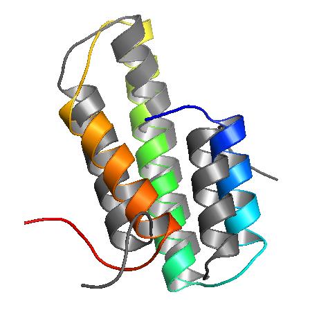 Results Tertiary Structure Prediction PDB: 1nre Energy -1395.