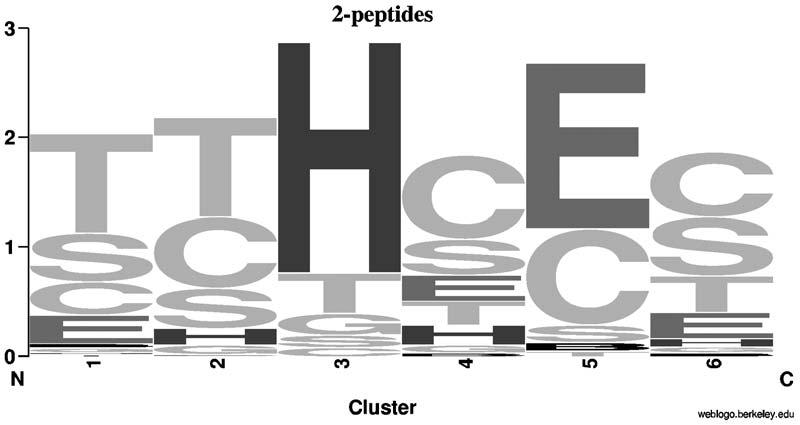 1492 MOONEY ET AL. Table 2. DSSP 8-Class Secondary Structure Composition (%) of 8 Clusters (Tri-Peptides) H G I E B T S C 1 0.05 0.06 0.01 21.57 1.90 11.32 28.35 36.73 2 0.01 0.03 0.00 64.79 1.94 0.