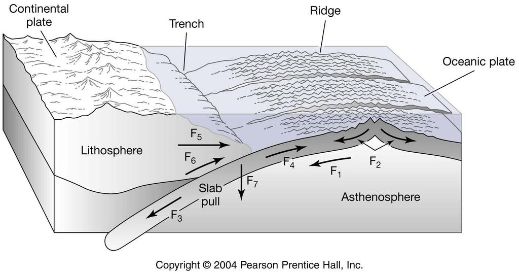 F 1 Friction between convecting asthenosphere and rigid lithosphere F 2 Gravitational push from mid-ocean ridge (high topography) F 3 Pull from increasing density of slab as it cools F 4 Elastic