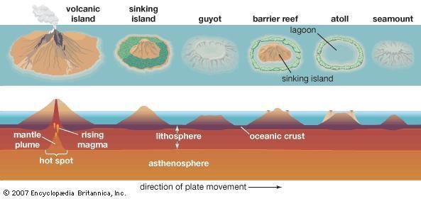 Guyot Distribution on Seafloor MOR Guyots Guyots are flat-topped seamounts that