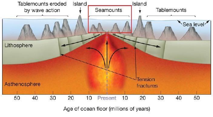 ocean basins are shallowest and closest to a mid-ocean ridge (spreading center)