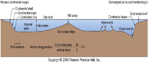 3) Regional Seafloor Features 4) Origin of Seafloor