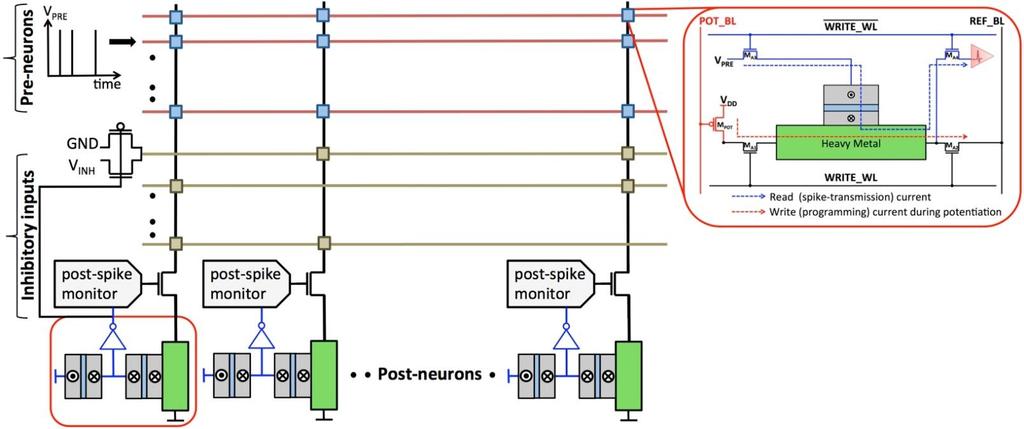 MTJ Enabled All-Spin Spiking Neural Network Stochastic SNN Hardware Implementation Crossbar arrangement of the spin neurons and synapses for energy efficiency. Average neuronal energy of 1fJ and 1.