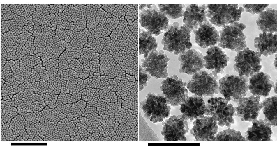 microscope (TEM) images of ZnO-cluster nanoparticles prepared