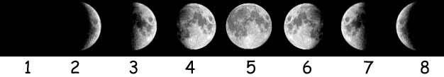 Gillian made drawings of how the Moon looked. The white areas are where the Moon looked bright. The black areas are when the Moon was dark. She put the pictures in order and numbered them 1 8.