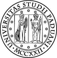 Università degli Studi di Padova Dipartimento di Fisica ed Astronomia Galileo Galilei Dipartimento di Matematica Laurea in Fisica Homoclinic chaos and the