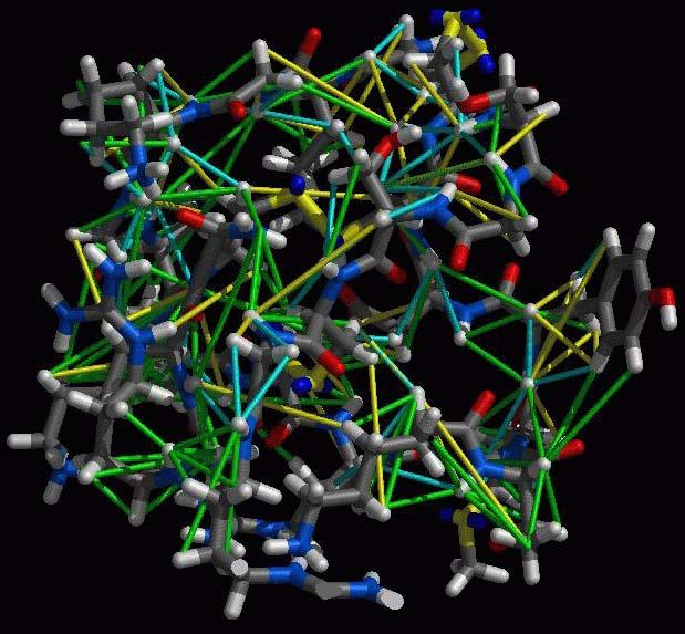 NMR Structure