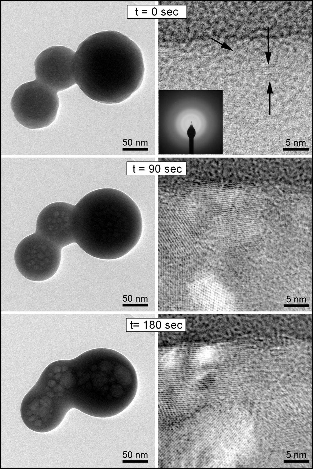 262 Figure 21 Brydson, Brown, Benning, Livi Figure 21. Bright field TEM image time series of the crystallization of amorphous calcium carbonate (ACC) upon exposure to the electron beam.
