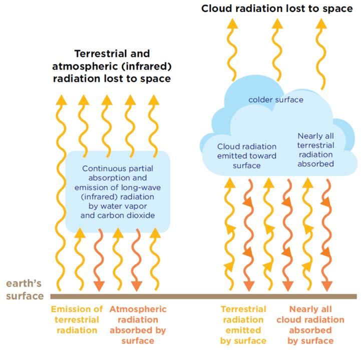 Clouds and Impacts on Radiation and Temperatures Water droplets/ice crystals that absorb, reflect, and emit radiation.