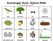 Activity 5: insect scavenger hunt Collection tools & methods Print colored pictures of insects