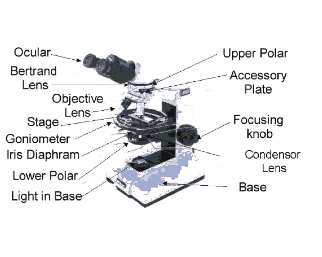 GLY 4200C LAB EXERCISE 10 INTRODUCTION TO THE PETROGRAPHIC MICROSCOPE AND RELIEF, BECKE LINE, AND OBLIQUE ILLUMINATION Locate all of the following microscope parts.