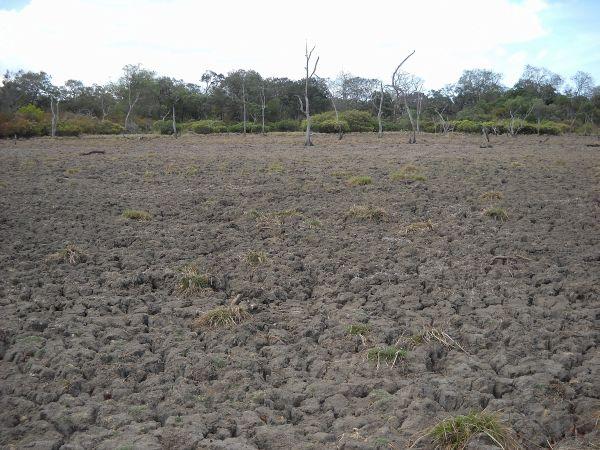 Natural Disaster and Sri Lanka droughts: Major droughts recorded in the